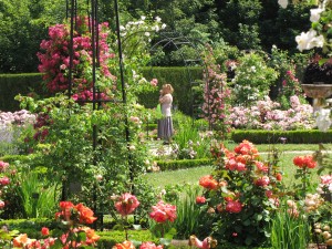 IMG_0466